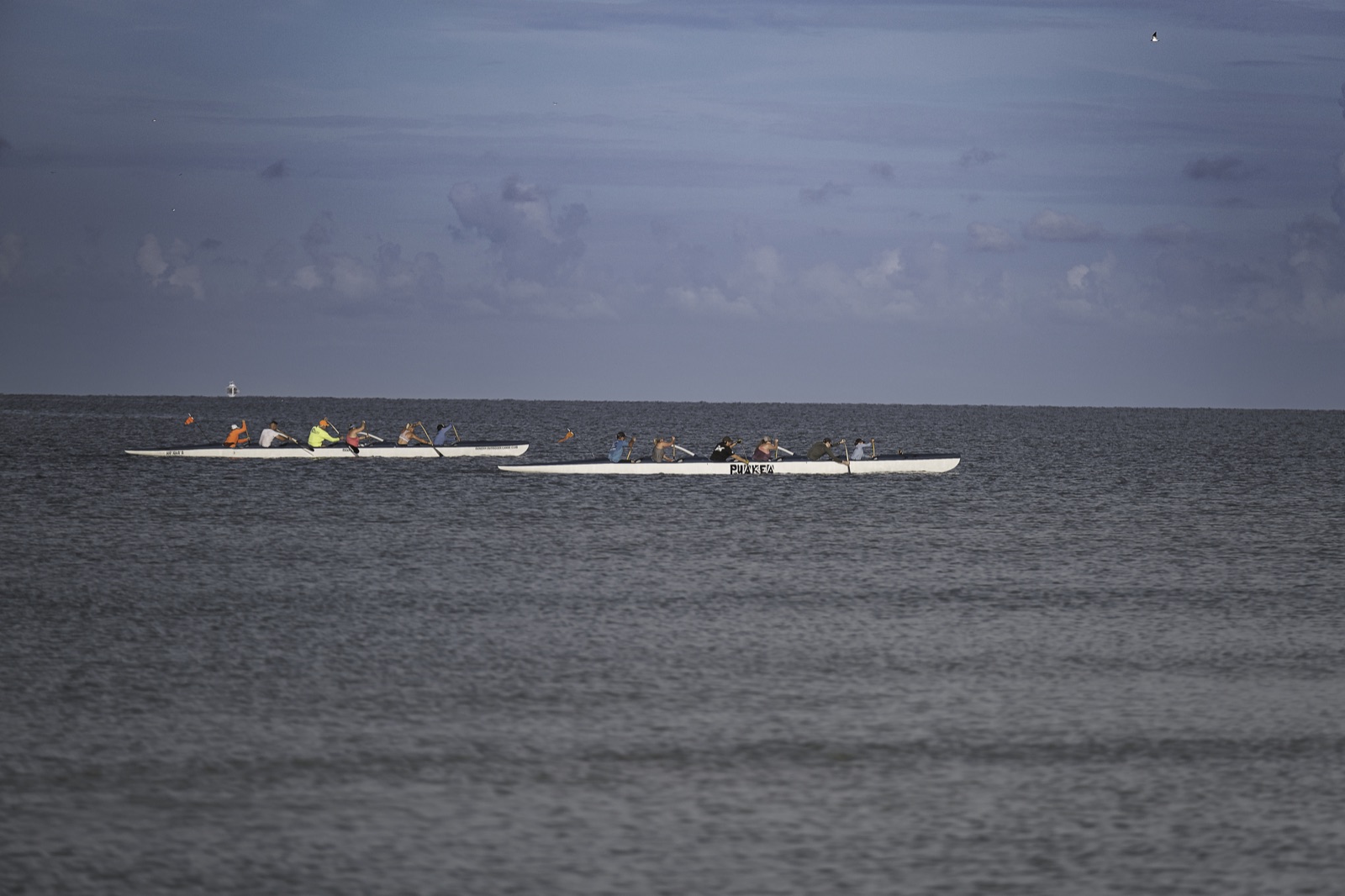 Two Racing Shells on Open Water, Tampa, Florida — fine art print by Bernardo Perdomo