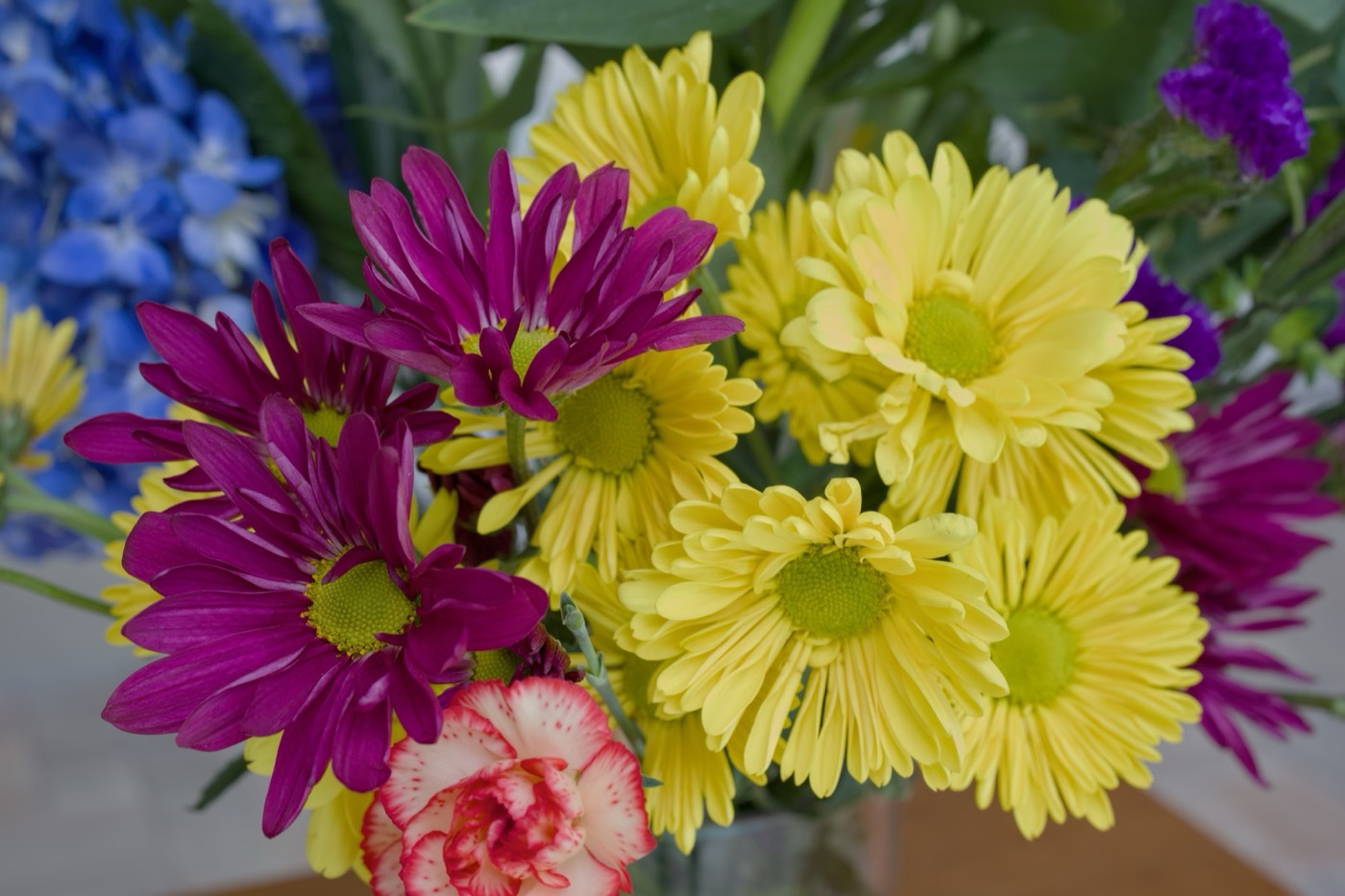 Studio Bouquet, Tampa Bay, Florida — fine art print