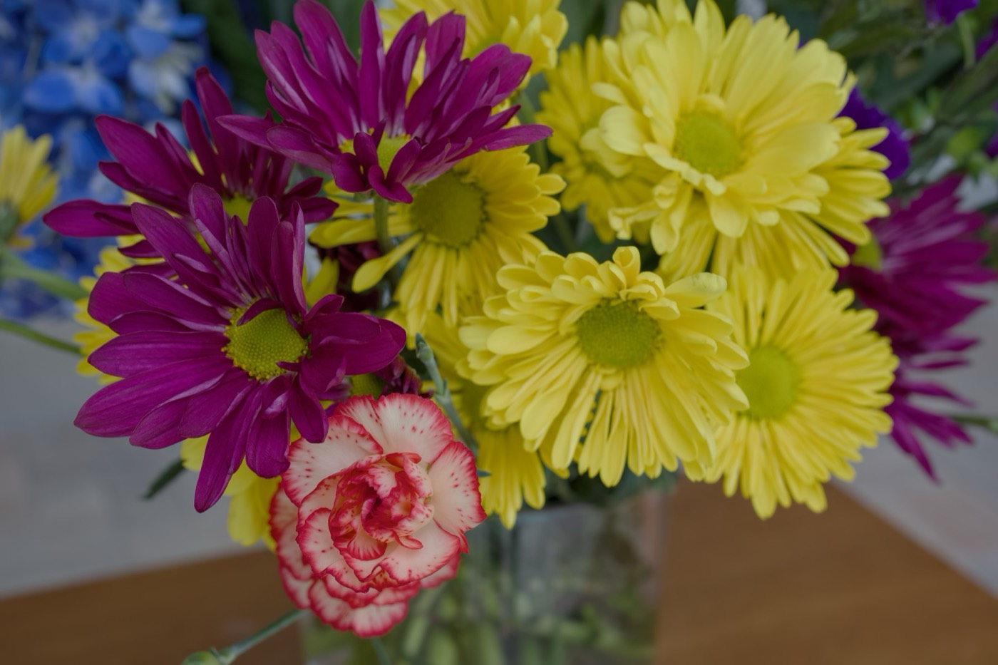 Spring Arrangement, Tampa Bay, Florida — fine art print