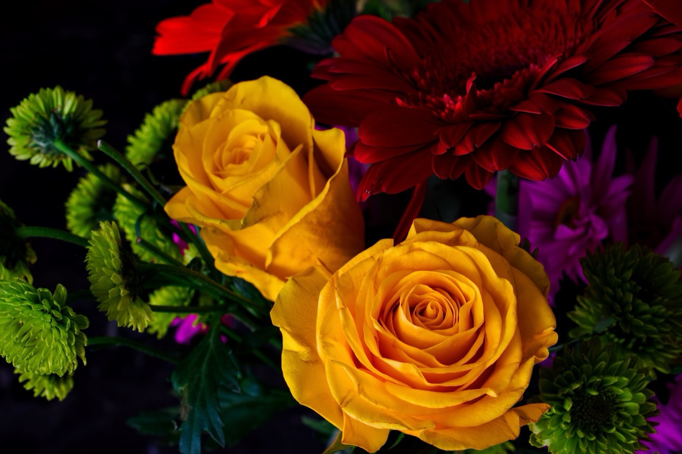 Yellow Roses, Tampa Bay, Florida — fine art print